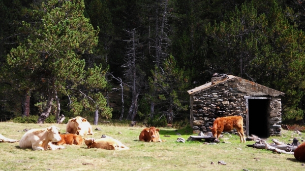 Guasch Viandes : Respect des ressources naturelles